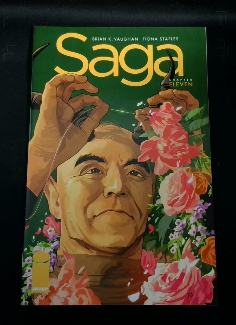Saga #11, NM Image, 2013