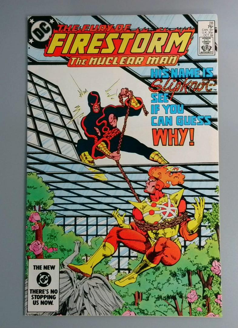 Fury Of Firestorm #28 NM- 1st Slipknot, DC Comics, 1984 JR1