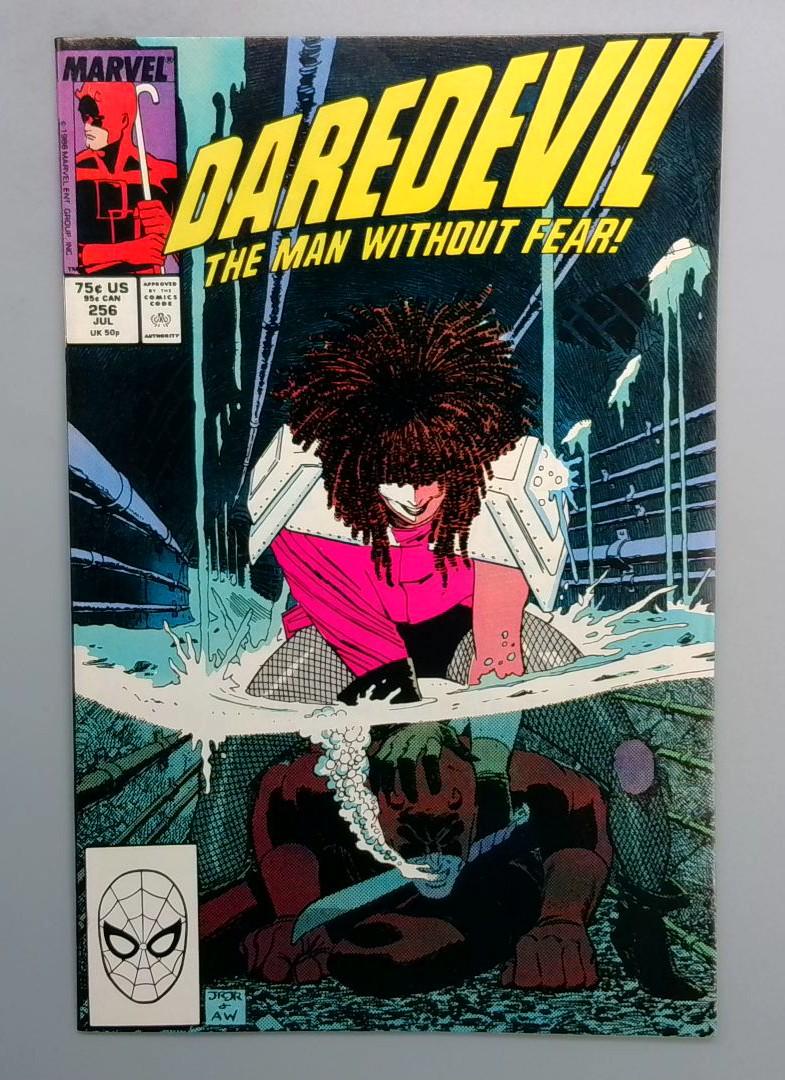 Daredevil #256 NM 3rd Typhoid Mary Marvel 1988 JR1