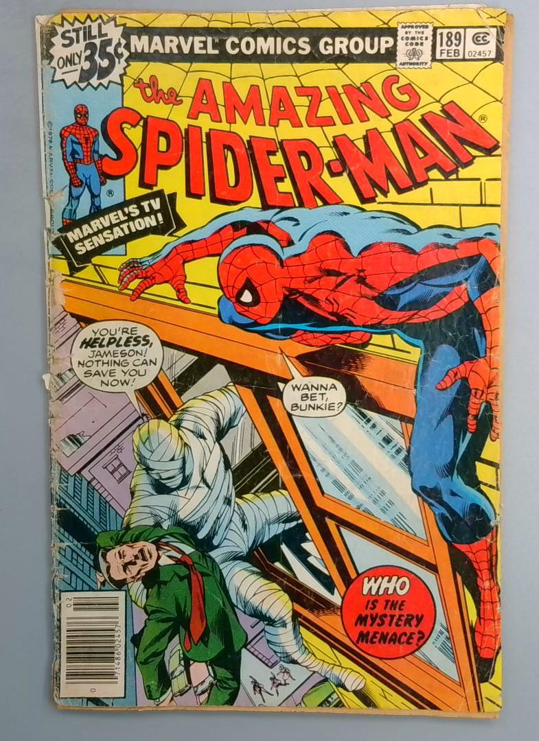 AMAZING SPIDER-MAN #189 READER COPY Marvel 1979 LN1