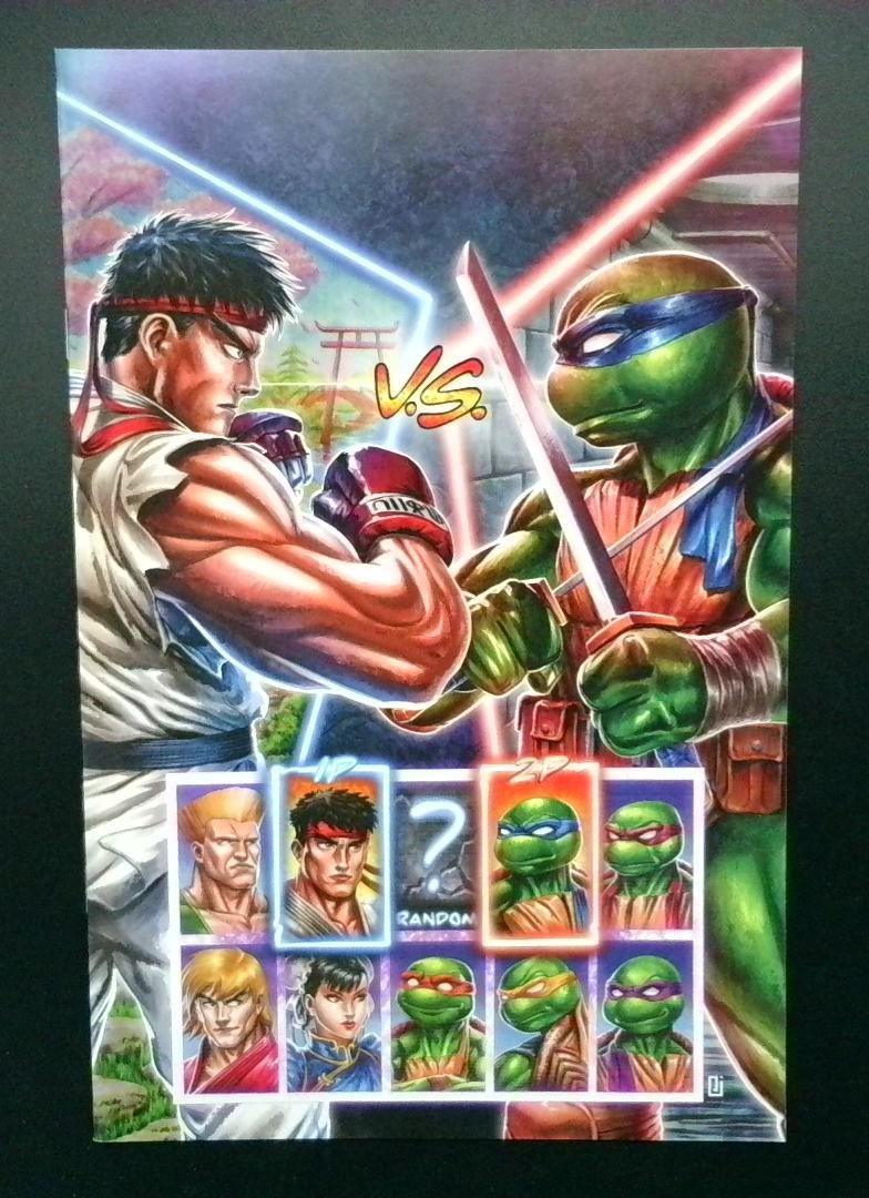 Teenage Mutant Ninja Turtles vs Street Fighter #4 NM Catacutan Variant IDW 2024