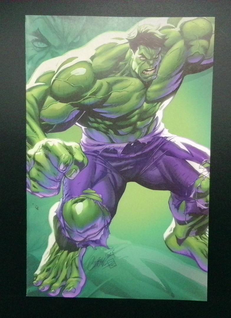 Incredible Hulk #28 NM J. SCOTT CAMPBELL Virgin Cover Marvel 2025 MW1