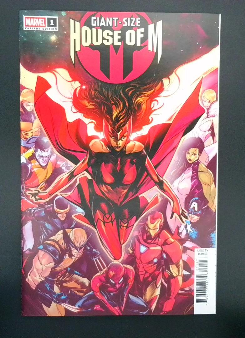 Giant-Size House of M #1 FN?VF 1:25 ALESSANDRO CAPPUCCIO Variant Marvel 