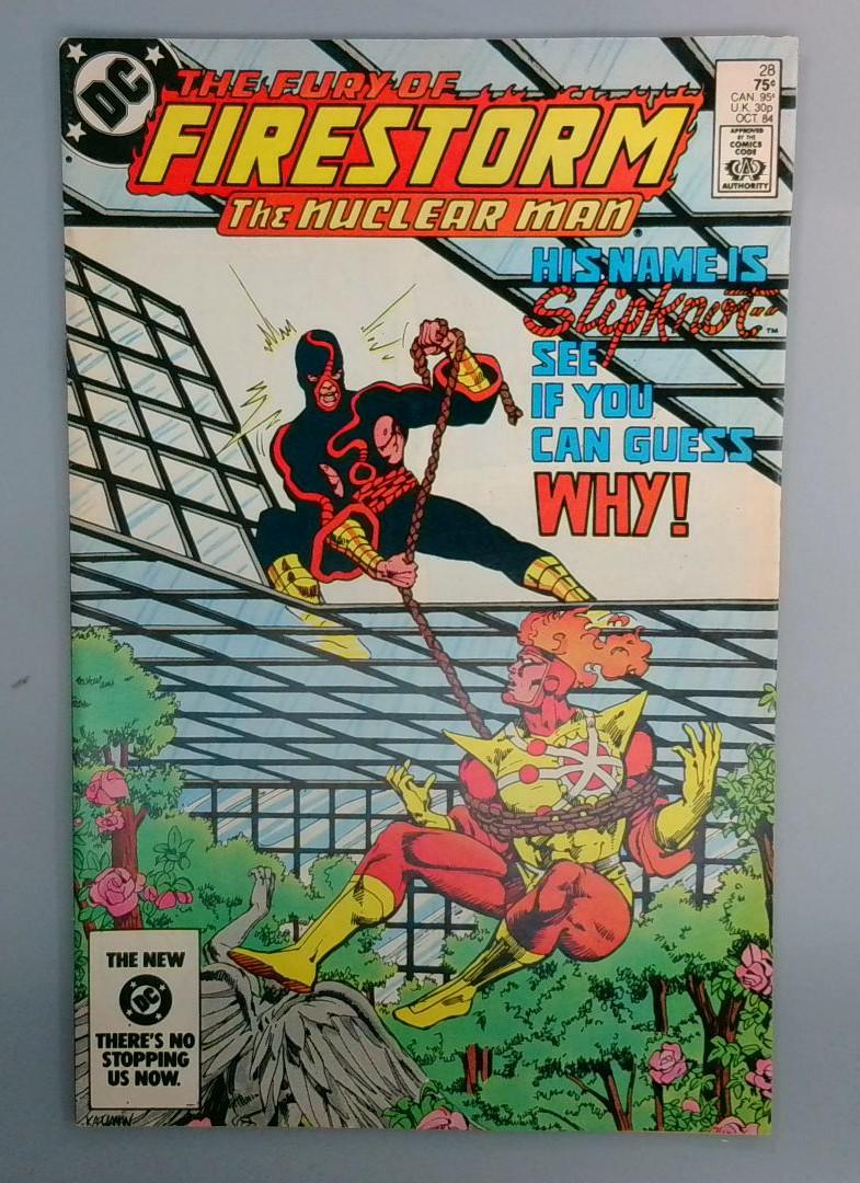 Fury of Firestorm #28 VF 1st Appearance of Slipknot DC 1984