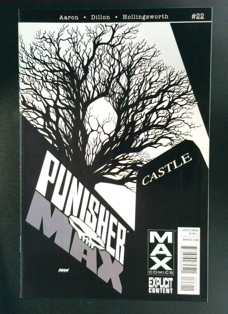 Punisher #22 Castle MAX Comics 2012