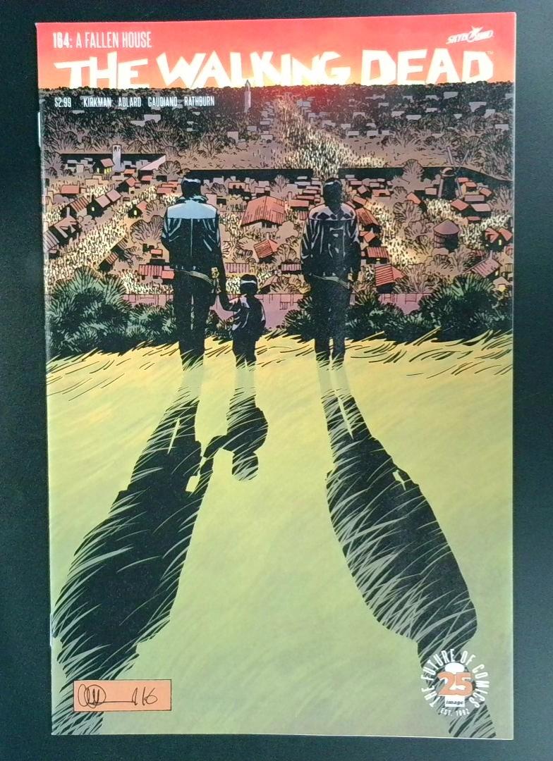 The Walking Dead #164 NM Image 2017