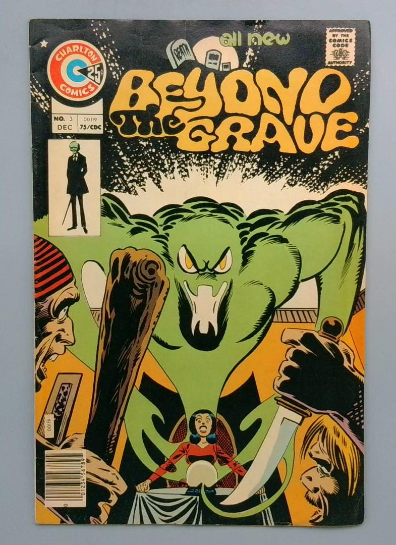 Beyond the Grave #3 FN Steve Ditko Charlton Comics December 1975