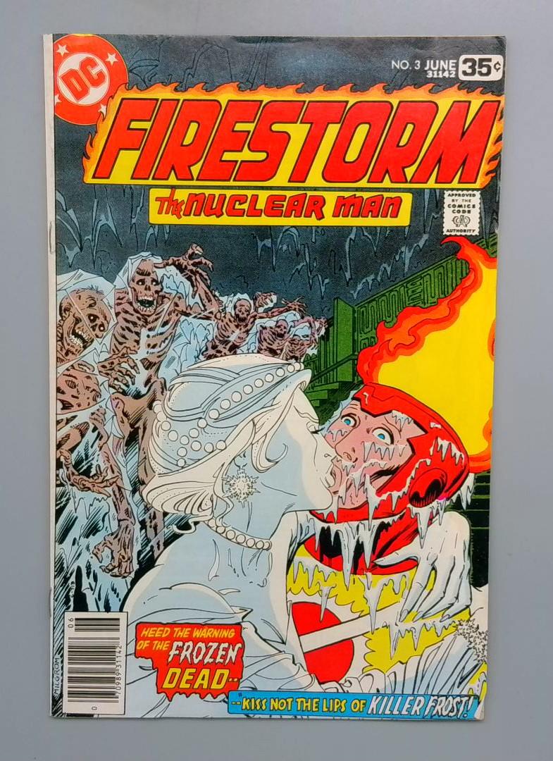 Firestorm #3 1st Appearance of Killer Frost DC 1978