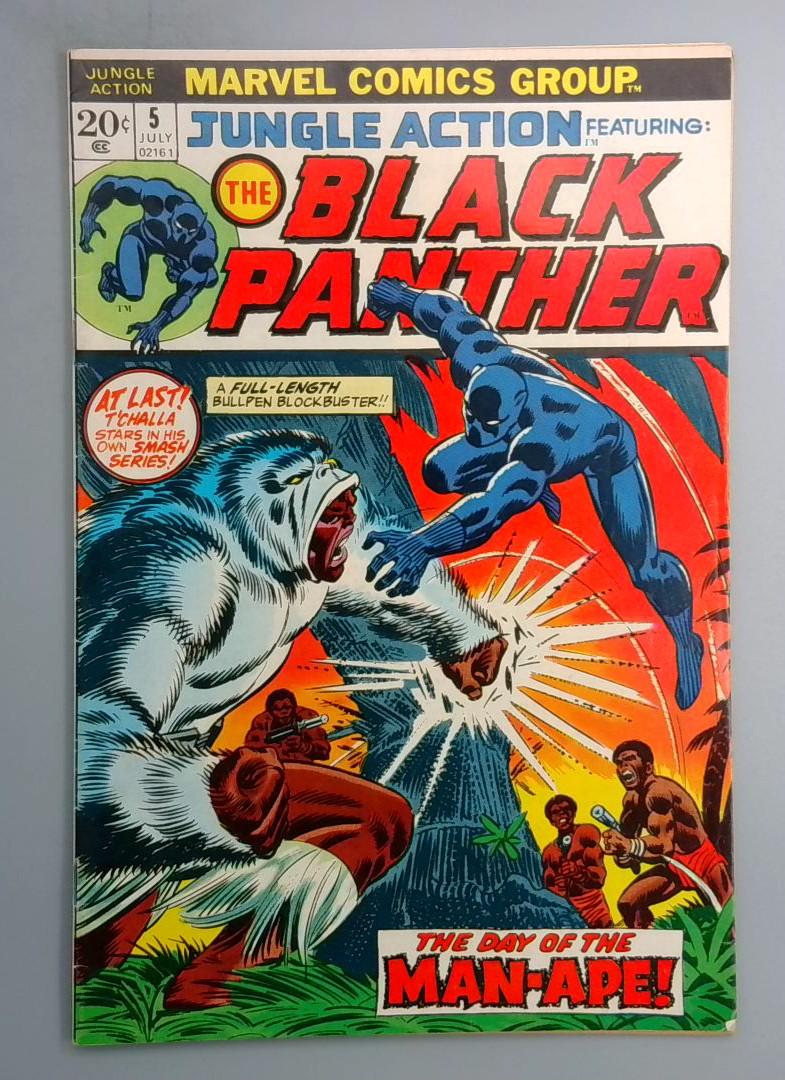 Jungle Action #5 FN- 1st Solo Black Panther Marvel 1973