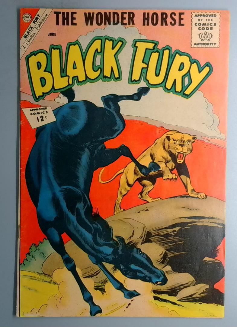 Black Fury #36 VG/FN Charlton 1962