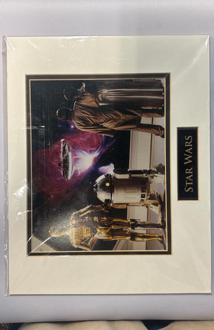 Disney Parks Star Wars Luke Skywalker C-3PO R2-D2 Matted Art Print