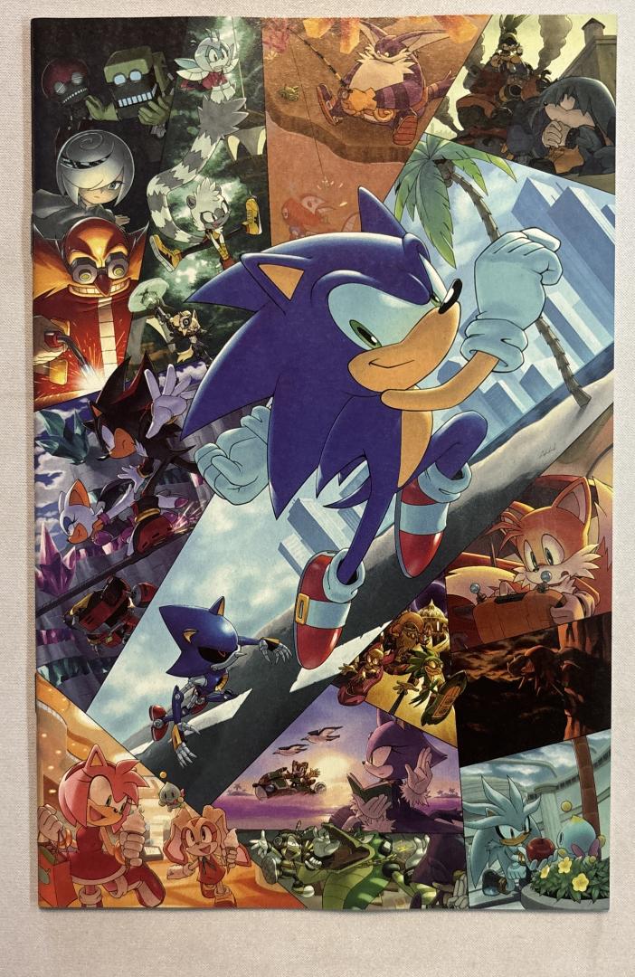 Sonic the Hedgehog #91 NM 1:25 Virgin Hammerstrom Cover RI Aaron IDW