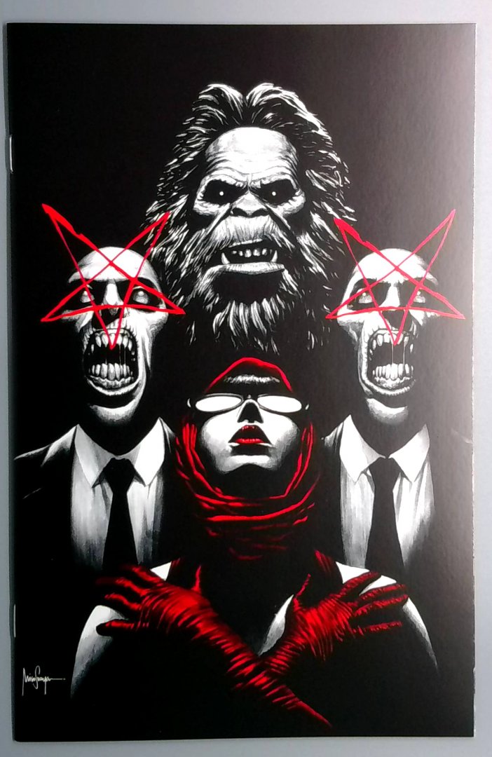 Department of Truth #11 NM Variant Cover Image Comics