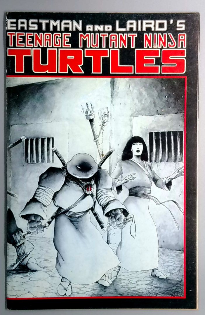 Teenage Mutant Ninja Turtles - Volume 1 017 - Comic Book - None