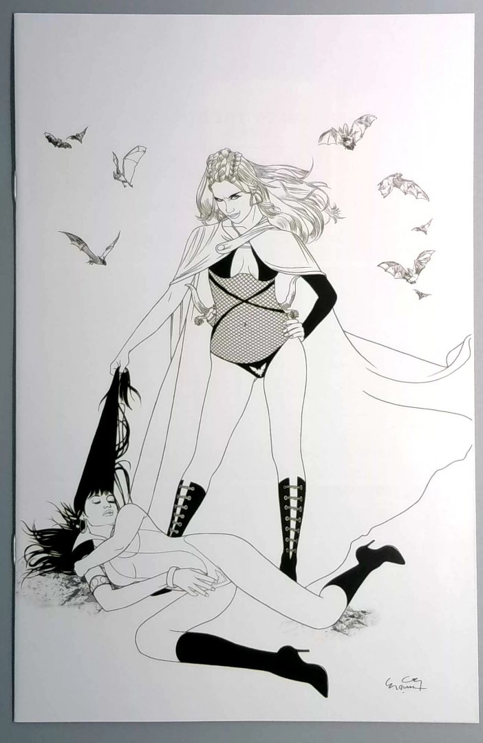 Vampirella vs. Red Sonja VF Dynamite - Comic Art - Original Art