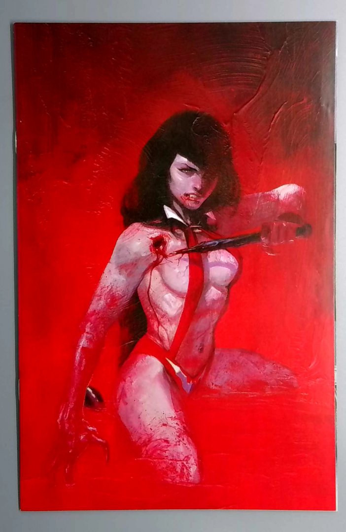 Vampirella: Trial of the Soul #1 Virgin Cover