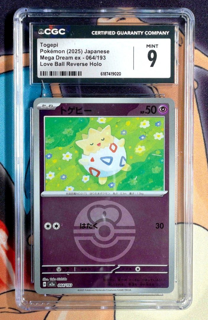 Togepi CGC 9 MEGA Dream ex 64 pokemon Mint 9