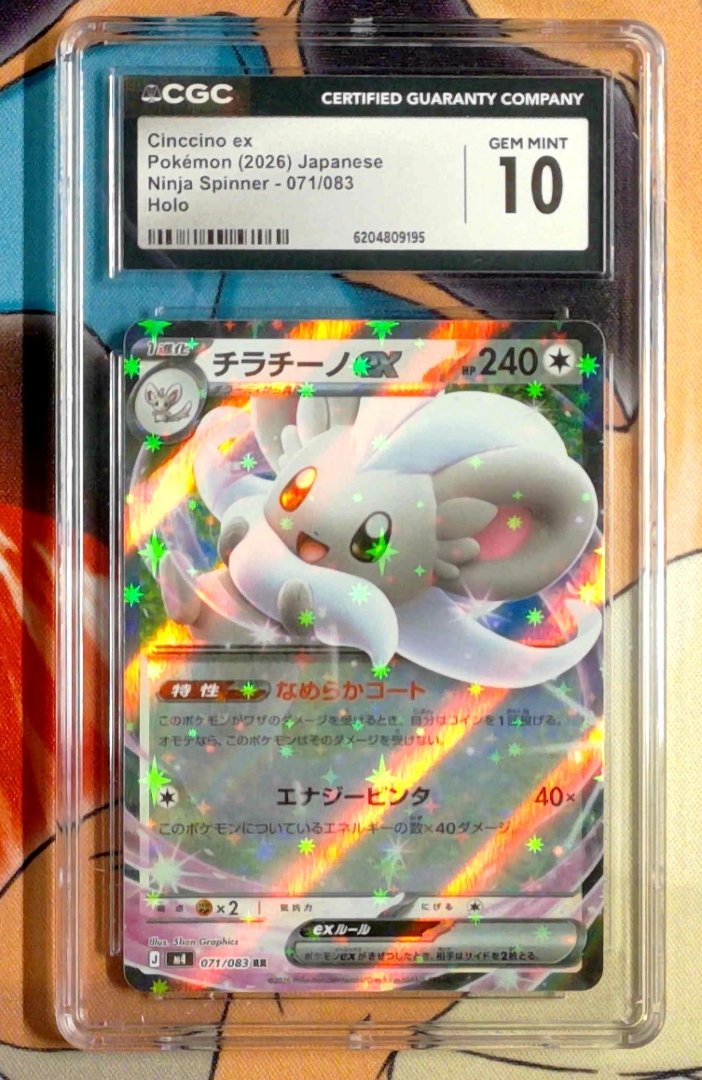 Cinccino ex CGC 10 Ninja Spinner 71 pokemon Double Rare Holo