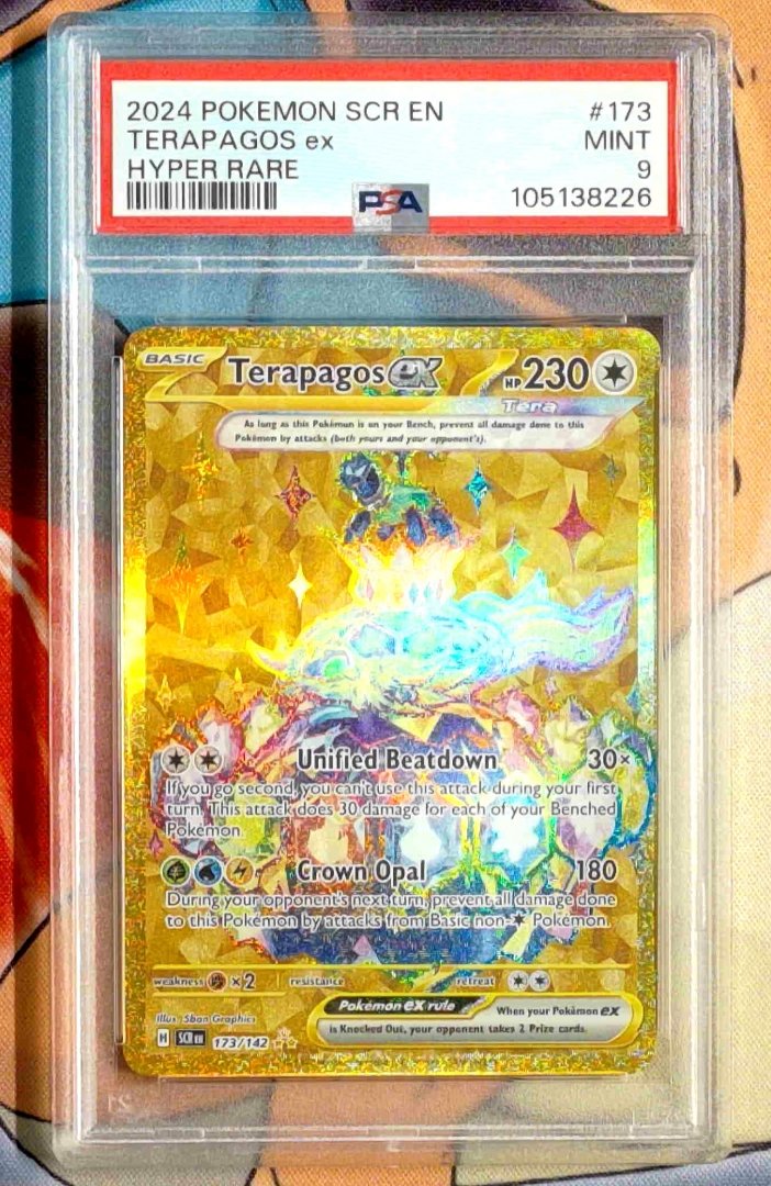 Pokemon Terapagos ex #173 PSA 9 SV07: Stellar Crown Holofoil Hyper Rare Slab