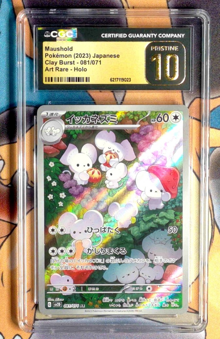 Pokemon Maushold #81 CGC Pristine 10 Clay Burst Japanese Holofoil Slab
