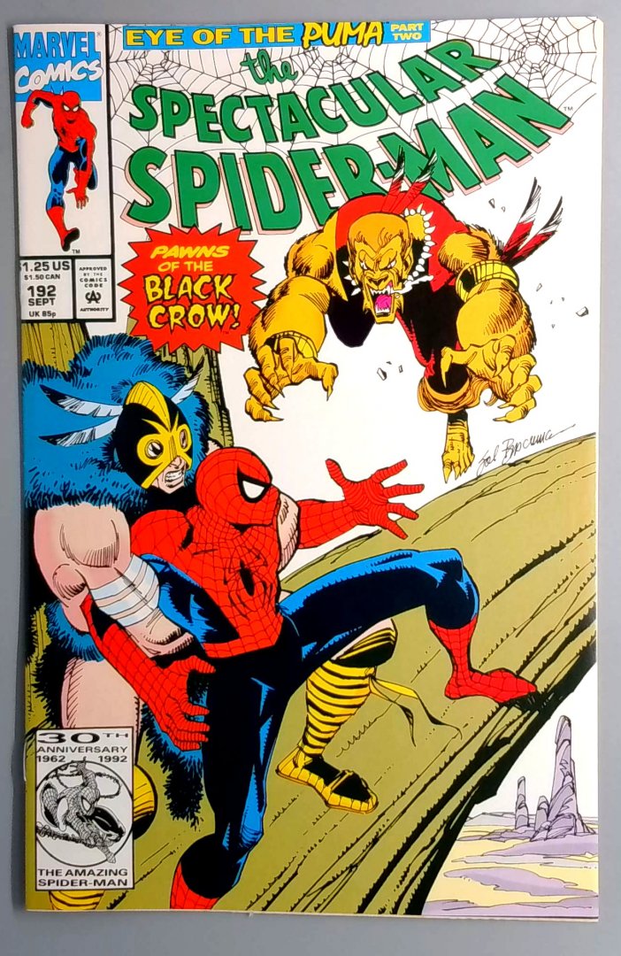Spectacular Spider-Man #192 NM- Marvel 1992