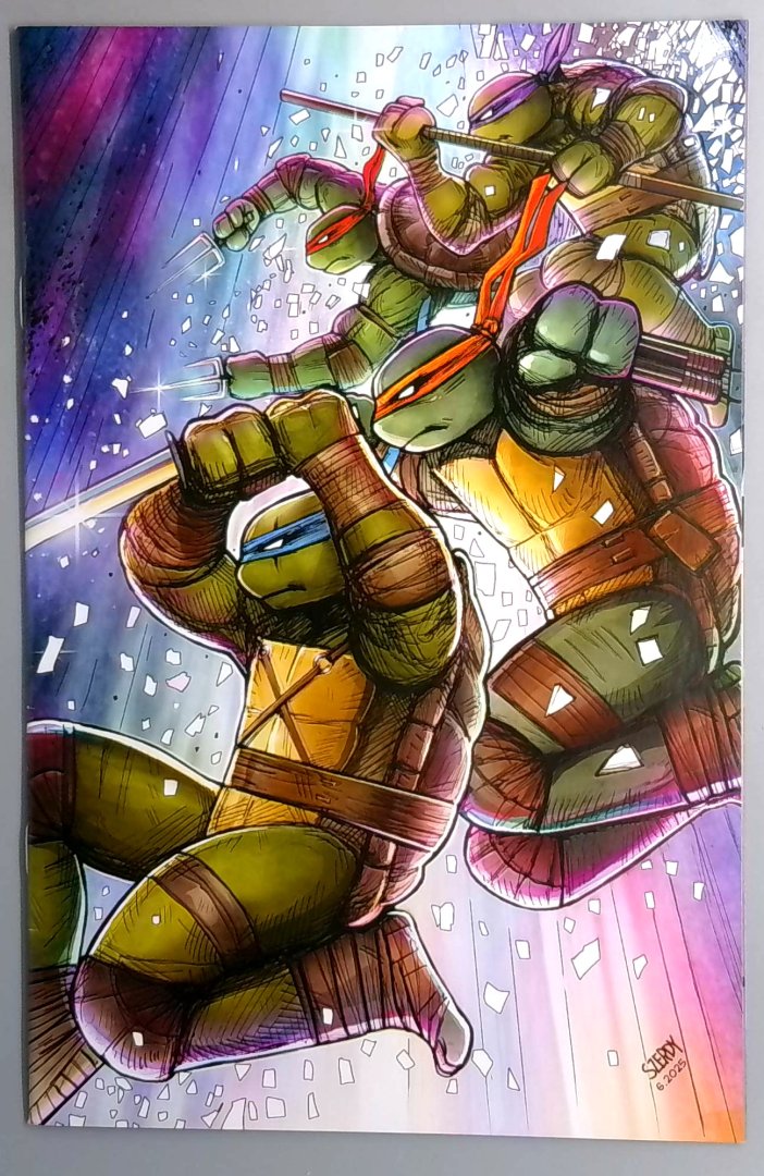 Teenage Mutant Ninja Turtles #13 NM Blind Bag Exclusive Comic